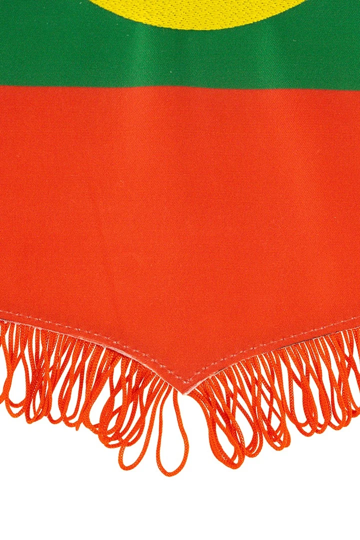 Вымпел Герб печатный с вышивкой из сатена с бахромой, 20х30 см#3