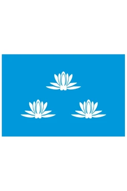 Купить флаг Новокуйбышевска