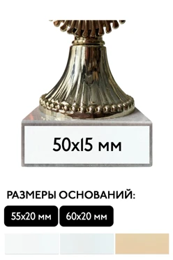 Купить шильд прямоугольный 50х15 мм