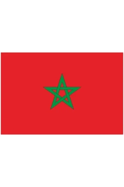 Купить флажок Марокко