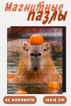 Купить пазл магнитный с нанесением, А5 (63 элемента) Купить пазл магнитный с нанесением, А5 (63 элемента)