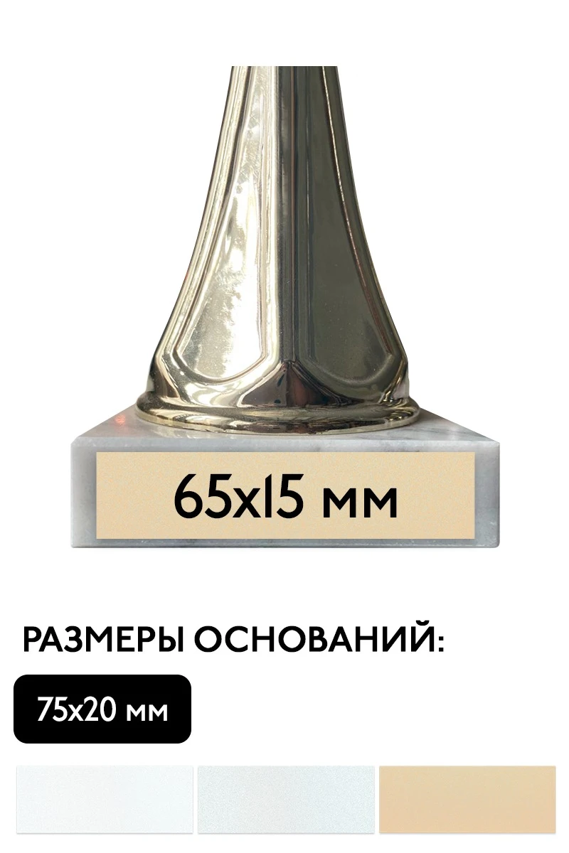 Шильд прямоугольный 65х15 мм#1