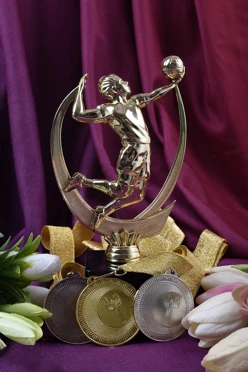 Приз Волейболист B190-G#2