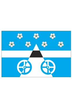 Купить флаг Лопатино сельского поселения