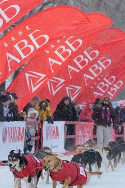 Флаг Парус 63х220 cм#7