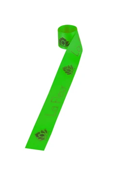 Купить ленту сатин ширина 3 см зеленая, печать черным с одной стороны