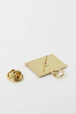 Колодка флаг РФ золотая ветвь#2