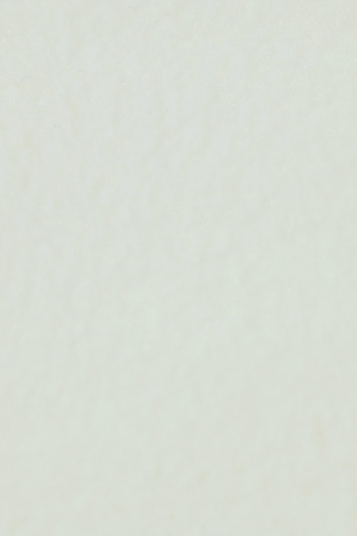 Ткань Флис 280 гр/м², 100% пэ, 160 см, белый Pantone 11-0601 TCX#1