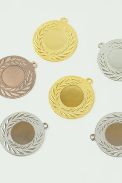 Медаль металлическая ИК5002 50мм с шильдом 25мм#2