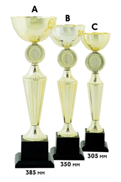 Купить кубок ИК0016 Купить кубок ИК0016