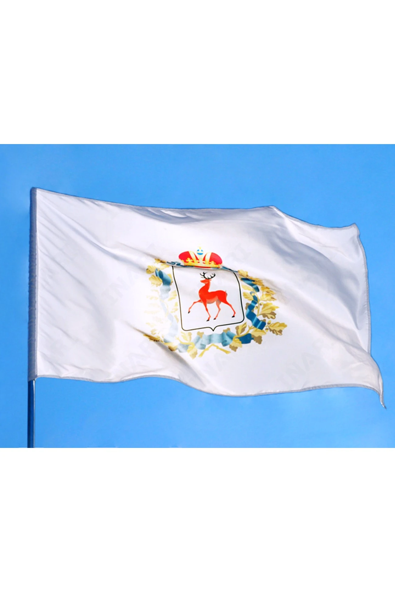 Купить Флаг Нижегородской области от производителя