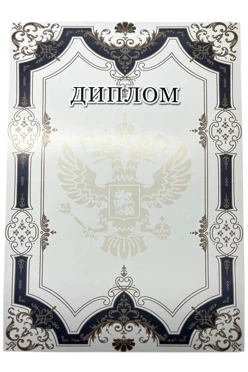 Купить диплом с готовым дизайном А4, рамка серая