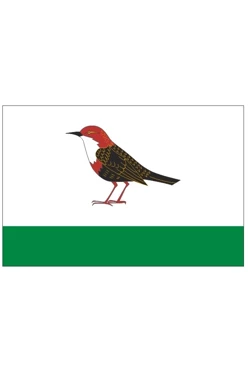 Купить флаг Бирска