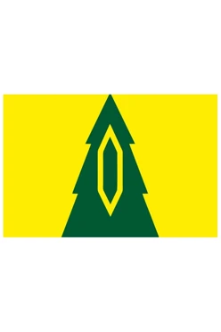 Купить флаг Барышского района