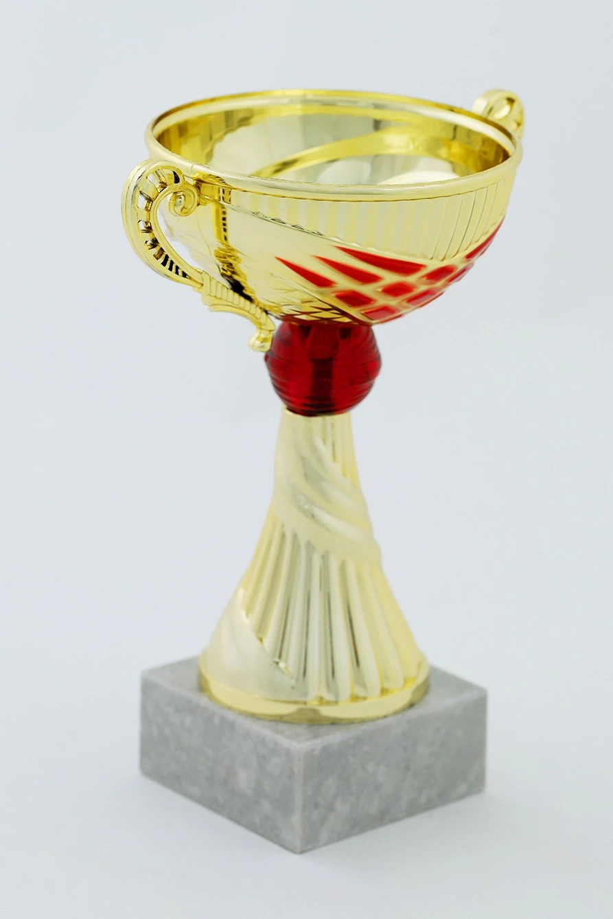 Кубок ИК0007#3