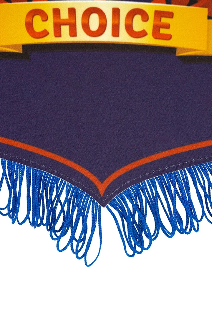 Вымпел Герб печатный с бахромой, 20х30 см#2