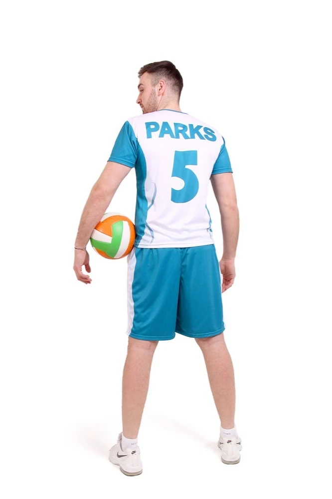 Волейбольная форма Хэнди мужская с полной запечаткой "PARKS 5"#1