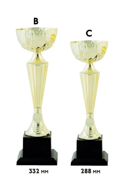 Купить кубок ИК0013 Купить кубок ИК0013