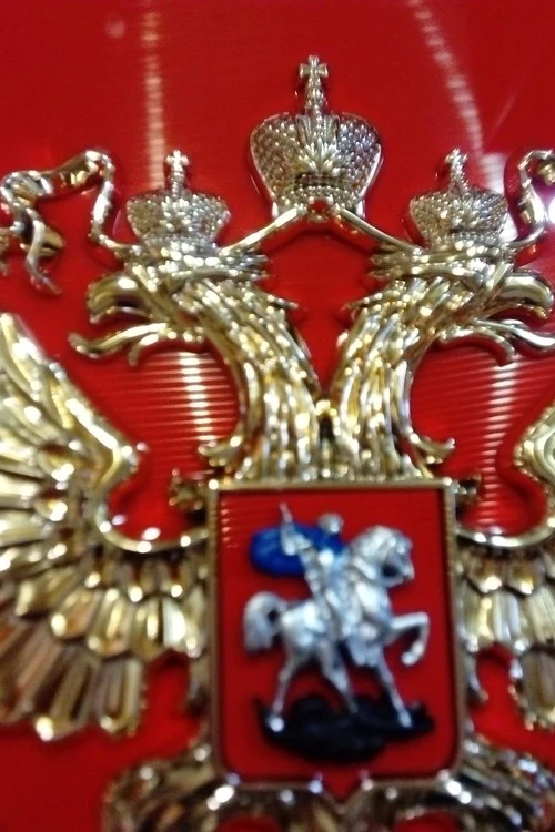 Герб РФ 22х26 см, барельеф, щит пластик, металлонапыление#4 Герб РФ 22х26 см, барельеф, щит пластик, металлонапыление#4