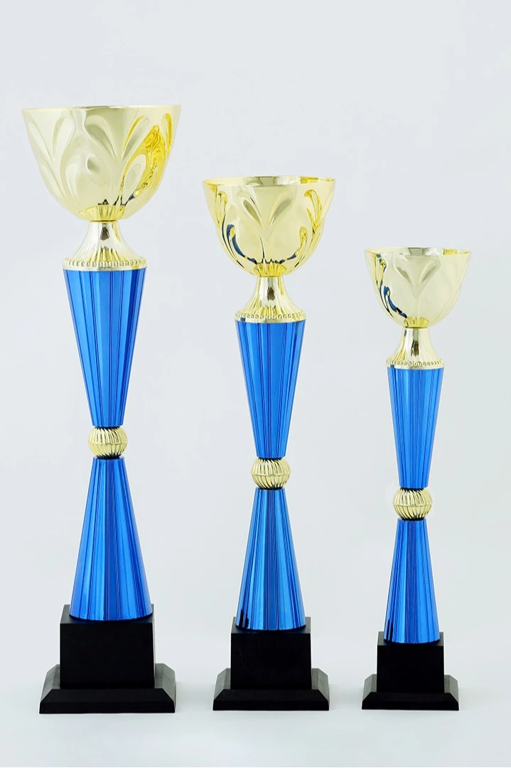 Кубок ИК0021#1