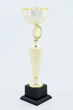 Кубок ИК0016#1 Кубок ИК0016#1