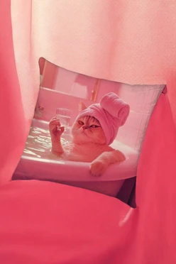 Купить подушку 50х50 см, с принтом "In the bathtub" Купить подушку 50х50 см, с принтом "In the bathtub"