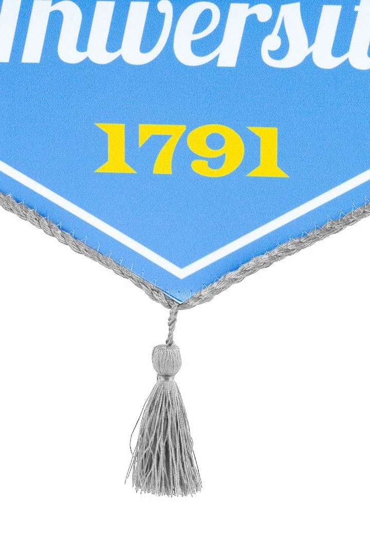 Вымпел Угол печатный со шнуром, декоративная кисть, 30х40 см#3