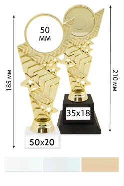 Купить приз Звездный В349