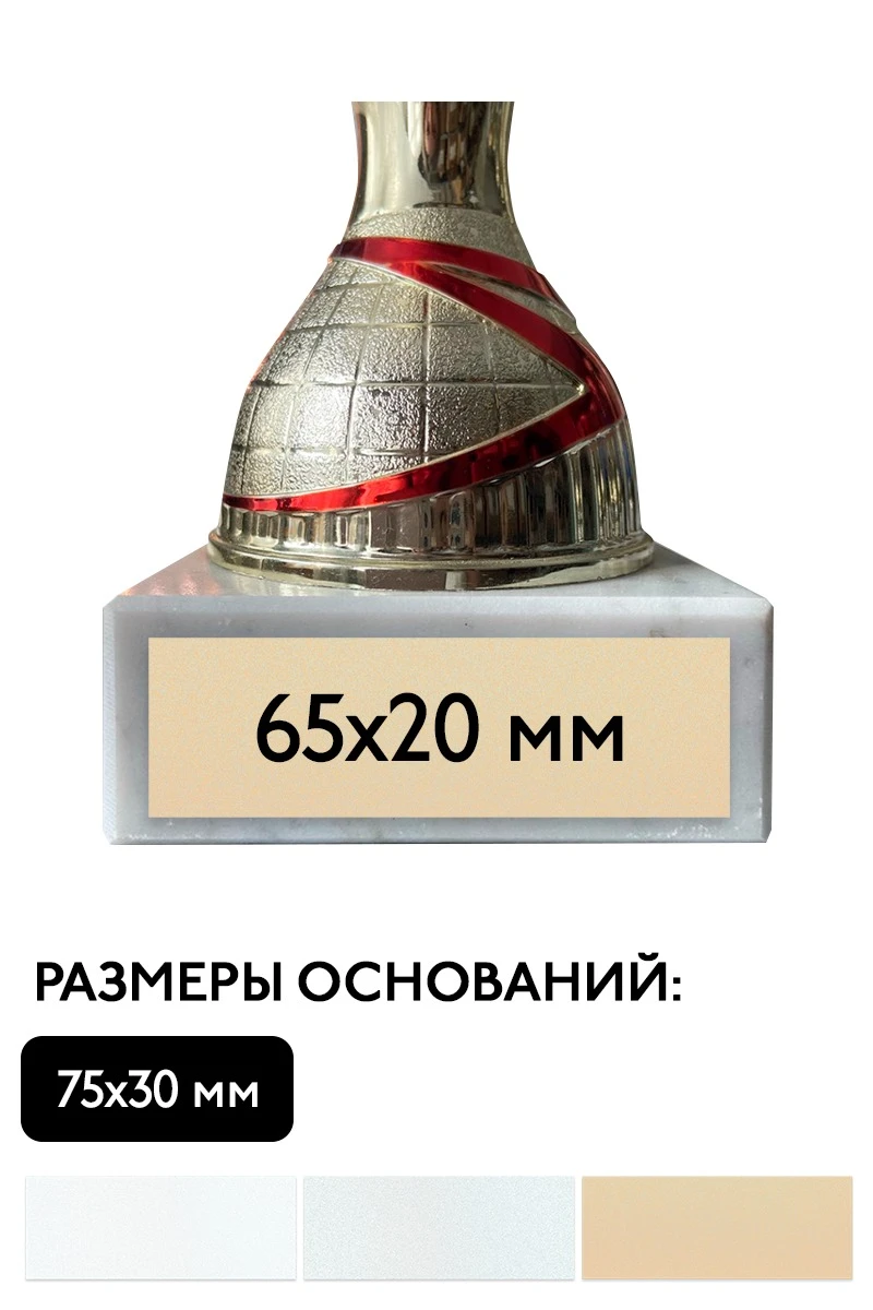 Шильд прямоугольный 65х20 мм#1