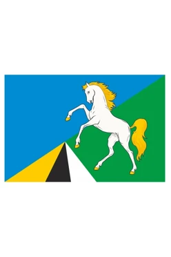 Купить флаг Тогучинского района