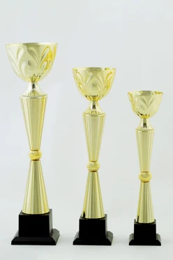 Кубок ИК0022#1 Кубок ИК0022#1