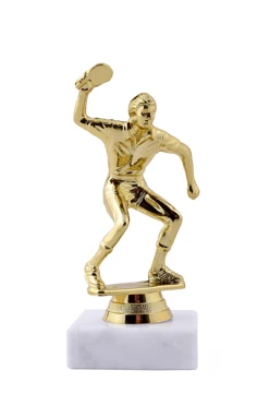 Приз Настольный теннис муж. 204-091-G#1