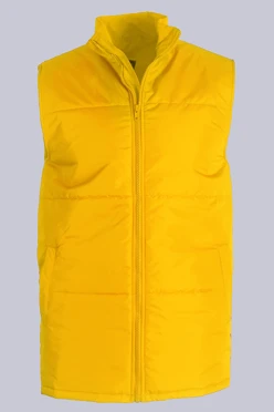 Купить жилет Оливер унисекс желтый