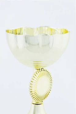 Кубок ИК0016#2 Кубок ИК0016#2