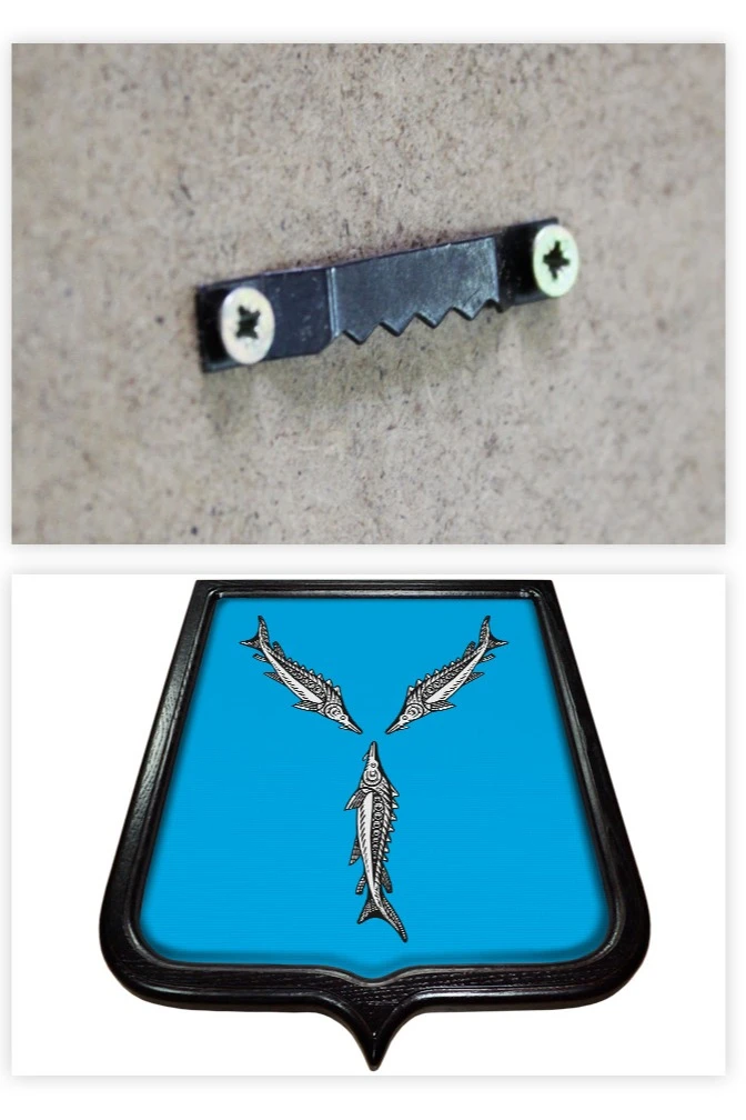 Герб Саратова 35х43 см, печатный#1