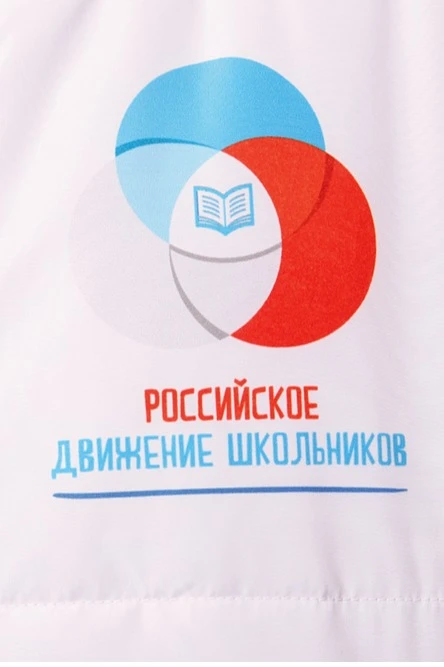 Жилет Портер на синтепоне со стежкой унисекс, с полной запечаткой "Russian Movement of Schoolchildren"#5