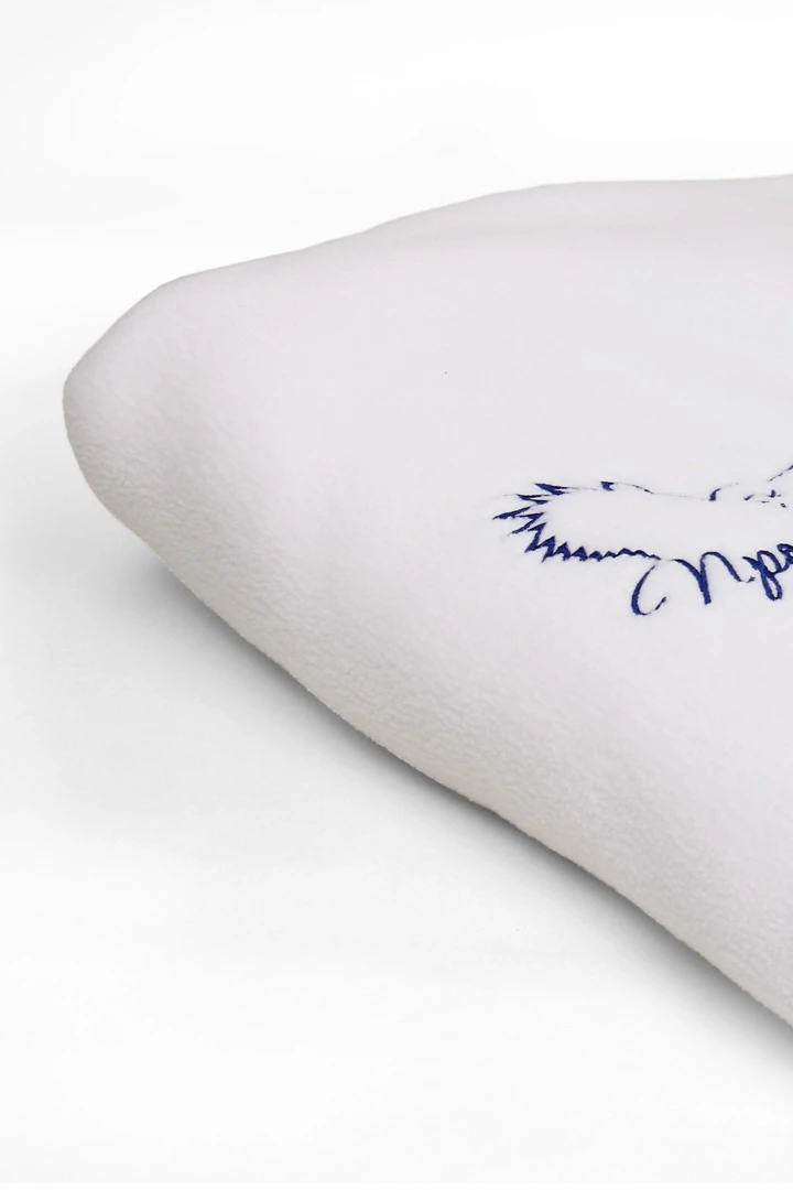 Купить плед Эконом (без обработки) флисовый 120х160 см, "Проф Бух Учет" Купить плед Эконом (без обработки) флисовый 120х160 см, "Проф Бух Учет"