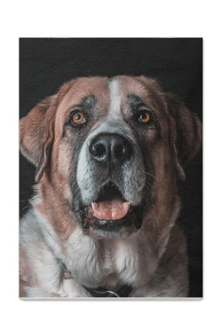 Блокнот фирменный А5 на скобе (40 листов без печати) с принтом "You can trust your secrets"#1 Блокнот фирменный А5 на скобе (40 листов без печати) с принтом "You can trust your secrets"#1