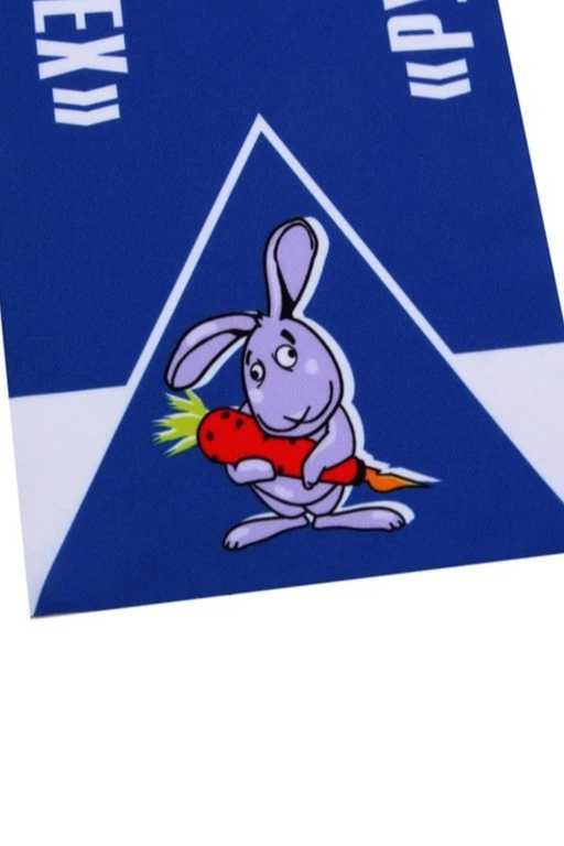 Шарф однослойный легкий 15х150 см, с полной запечаткой#5