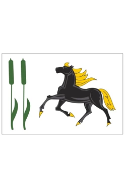 Купить флаг Камышлинского района