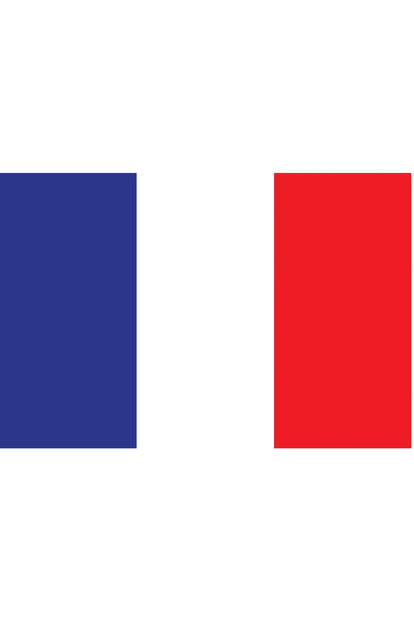 Купить флаг Франции 90х135 см