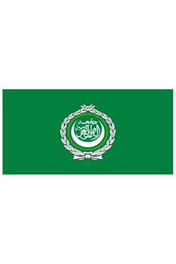 Купить флаг Лиги арабских государств (ЛАГ)