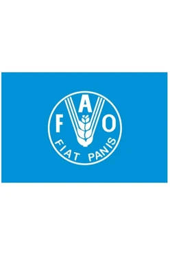 Купить флаг Всемирной продовольственной организации