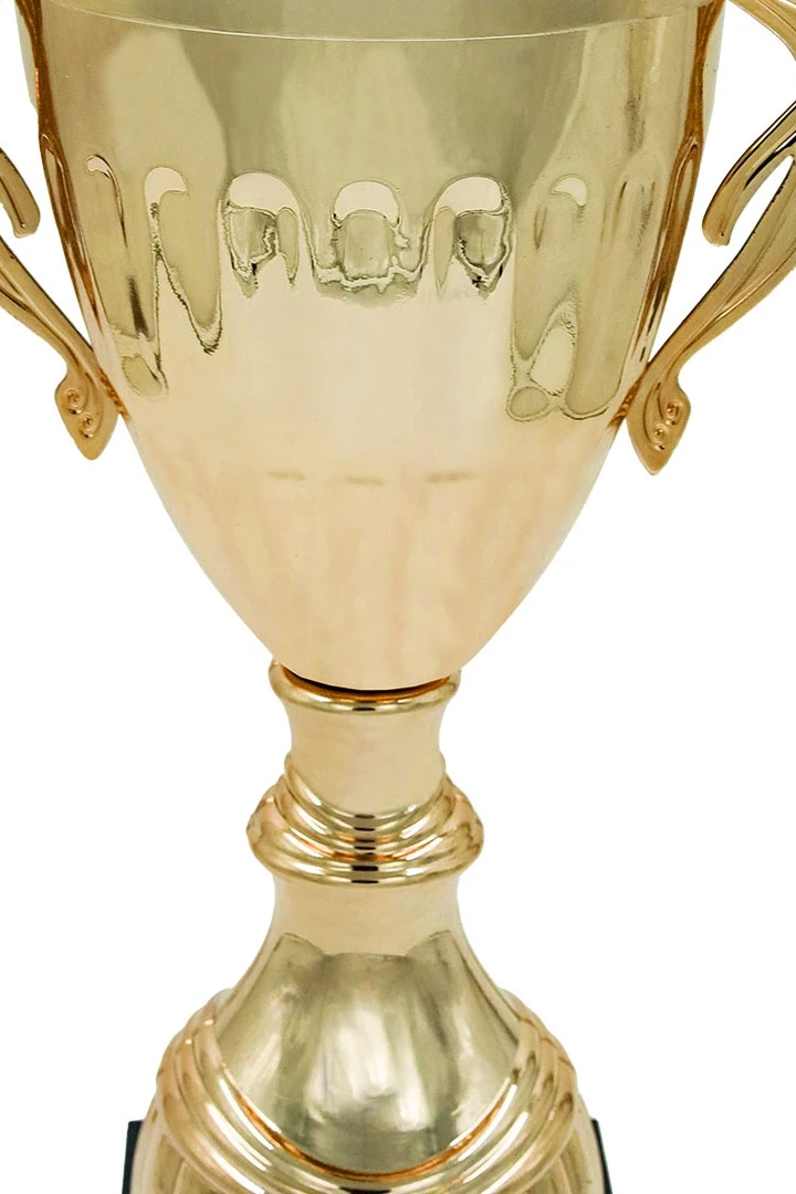 Кубок ИК0085 с крышкой#2