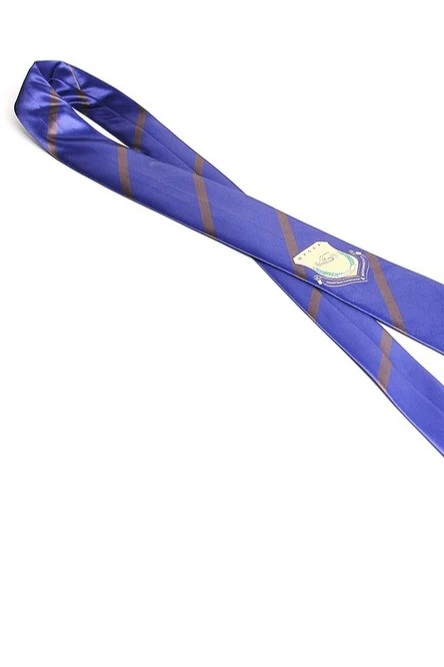 Галстук Классика самовяз мужской, с полной запечаткой "Linguistic School"#2