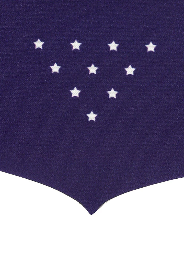 Вымпел Герб печатный обрезной край, 10х15 см#2 Вымпел Герб печатный обрезной край, 10х15 см#2