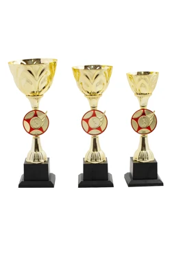 Кубок ИК0035#1 Кубок ИК0035#1