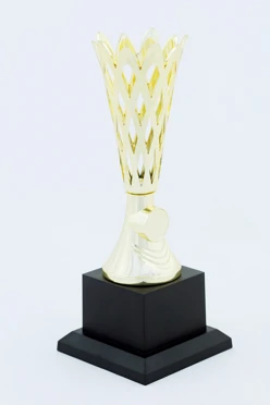 Кубок ИК0008#1 Кубок ИК0008#1