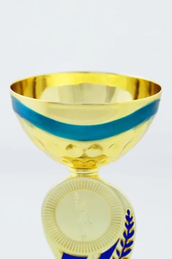 Чаша для кубка D108#1