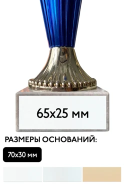 Купить шильд прямоугольный 65х25 мм